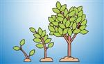 Grow2 
