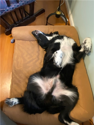 Little John Sleeping