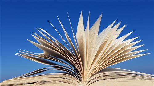 book 